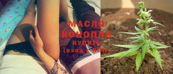 дживик Пересвет