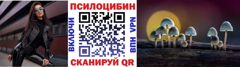 где купить наркоту  darknet состав  omg рабочий сайт  Галлюциногенные грибы прущие грибы  Нефтегорск 